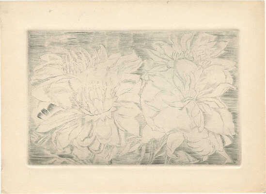 Митрохин Дмитрий Исидорович. Цветы (Астры)